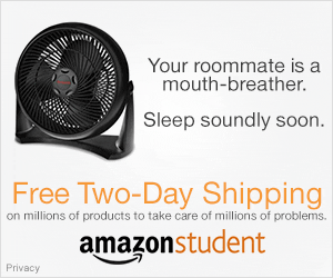 Here's an alt tag for the image: `Fan solves roommate's mouth-breathing.`